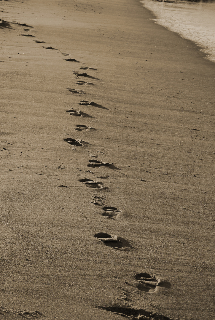 Spuren im Sand