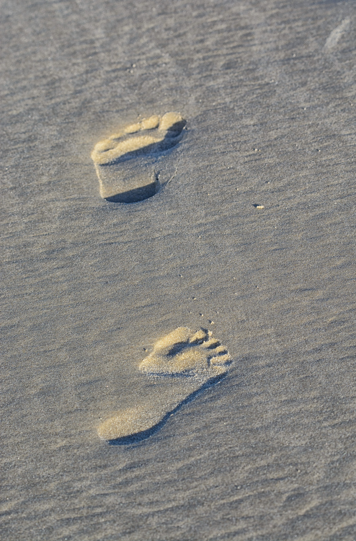 Spuren im Sand 