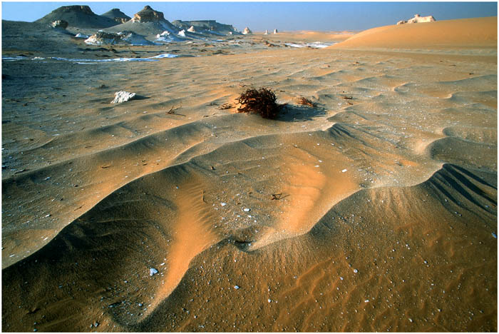 Spuren im Sand