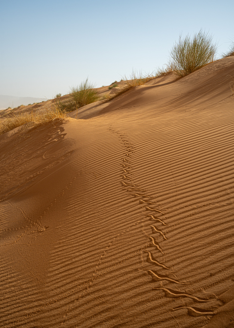 Spuren im Sand