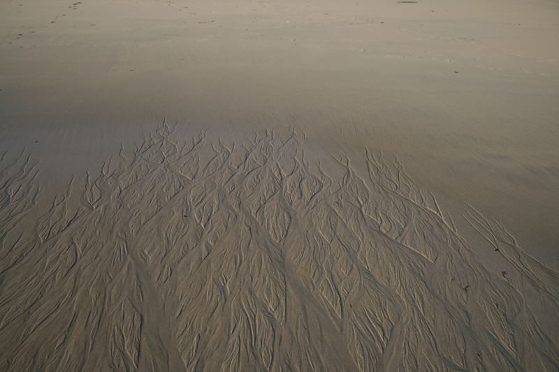 Spuren im Sand