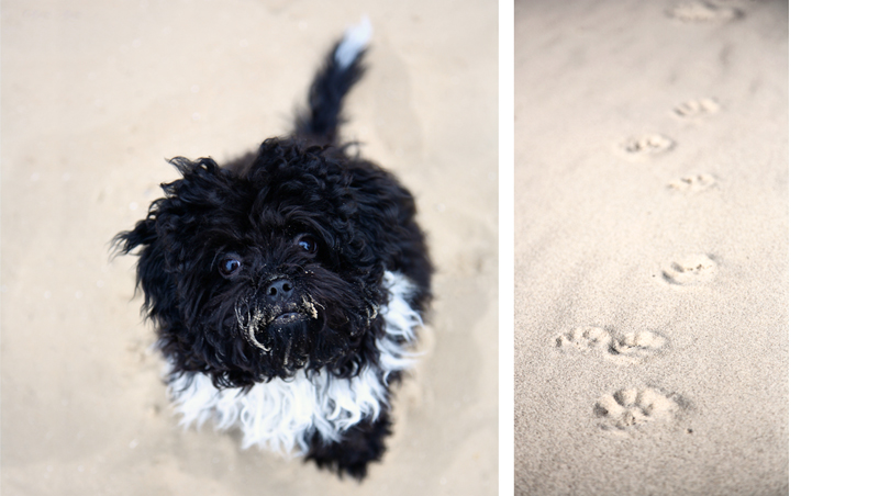 Spuren im Sand