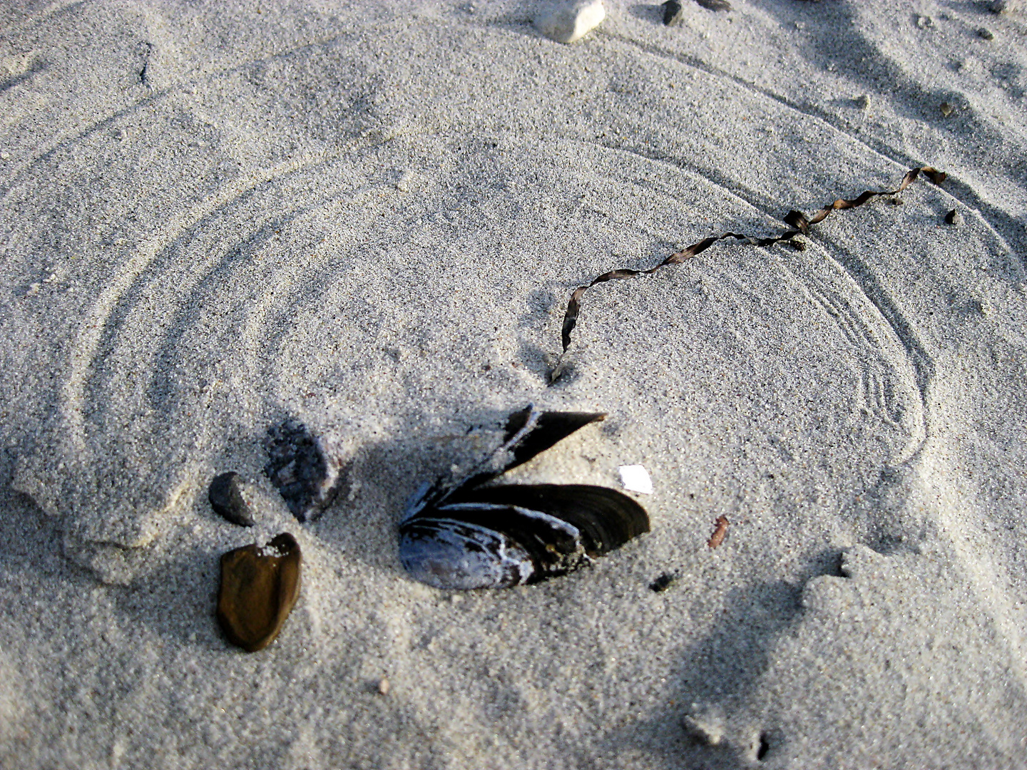 Spuren im Sand