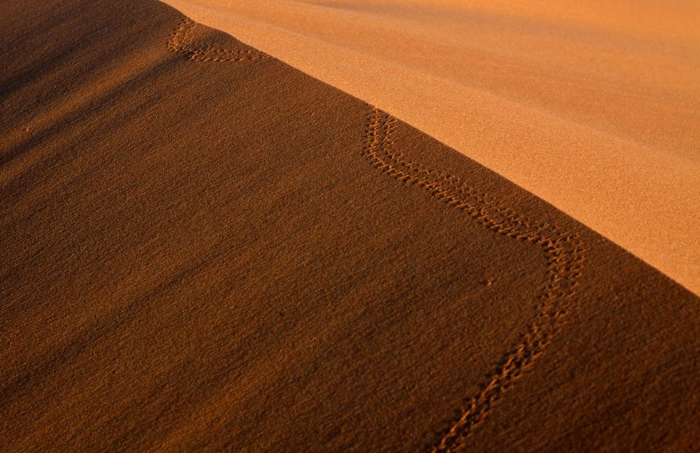 Spuren im Sand