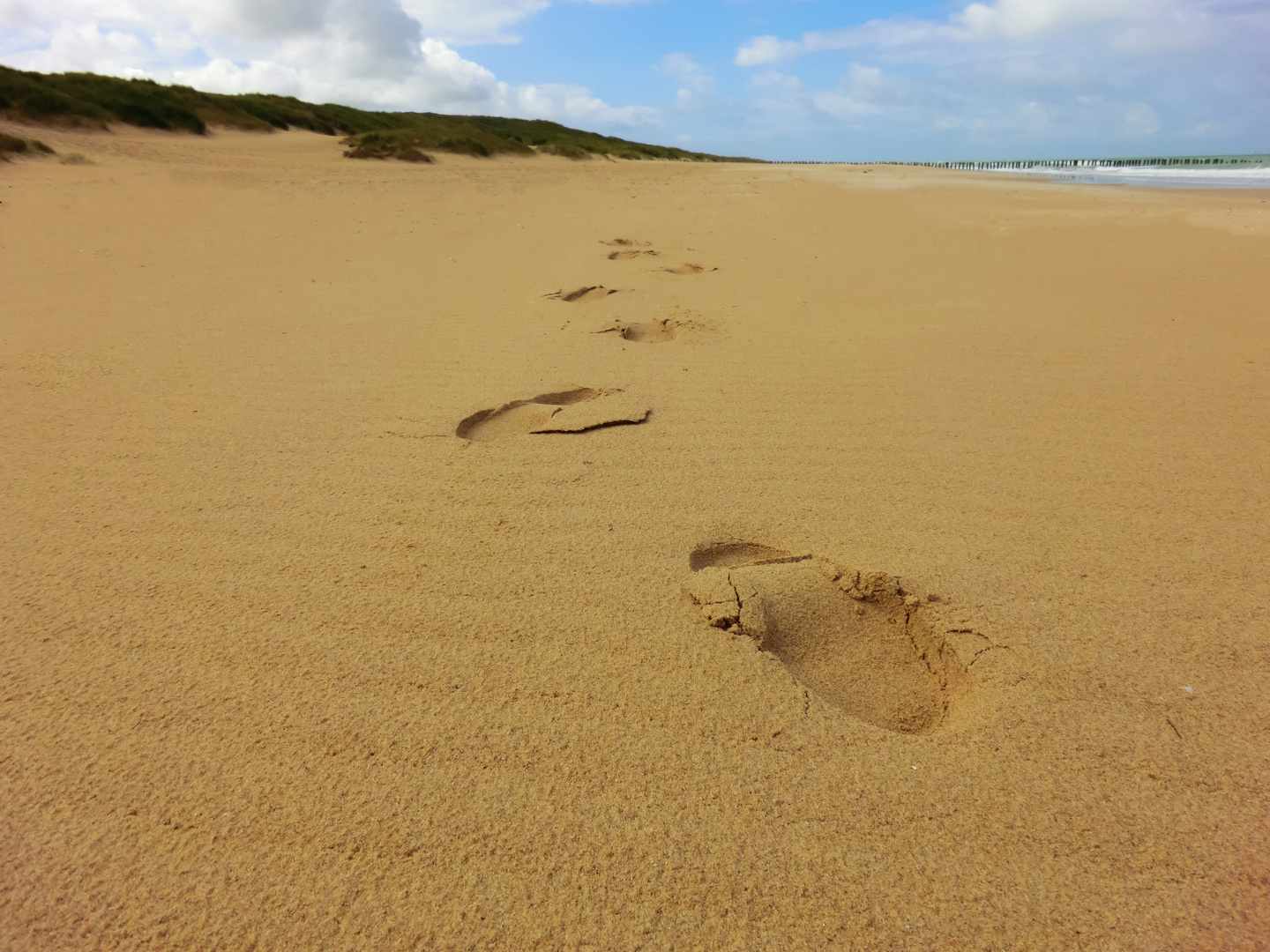 Spuren im Sand