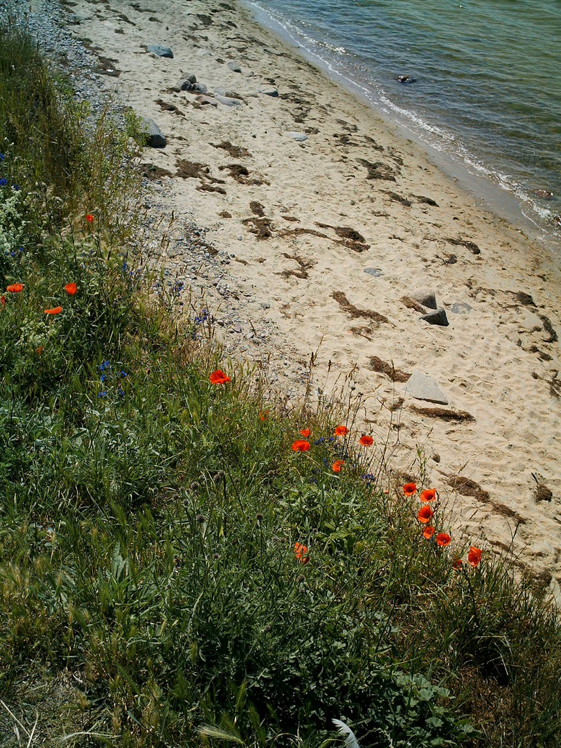 Spuren im Sand