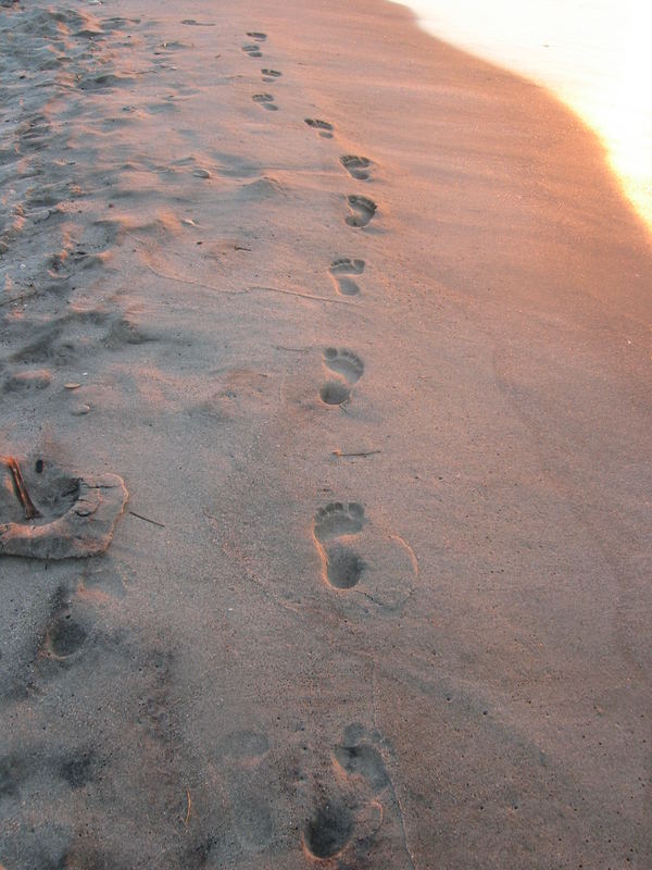 Spuren im Sand