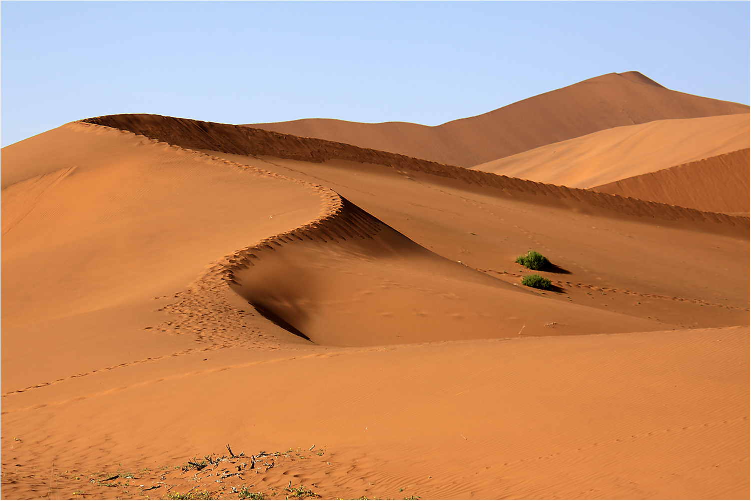 Spuren im Sand