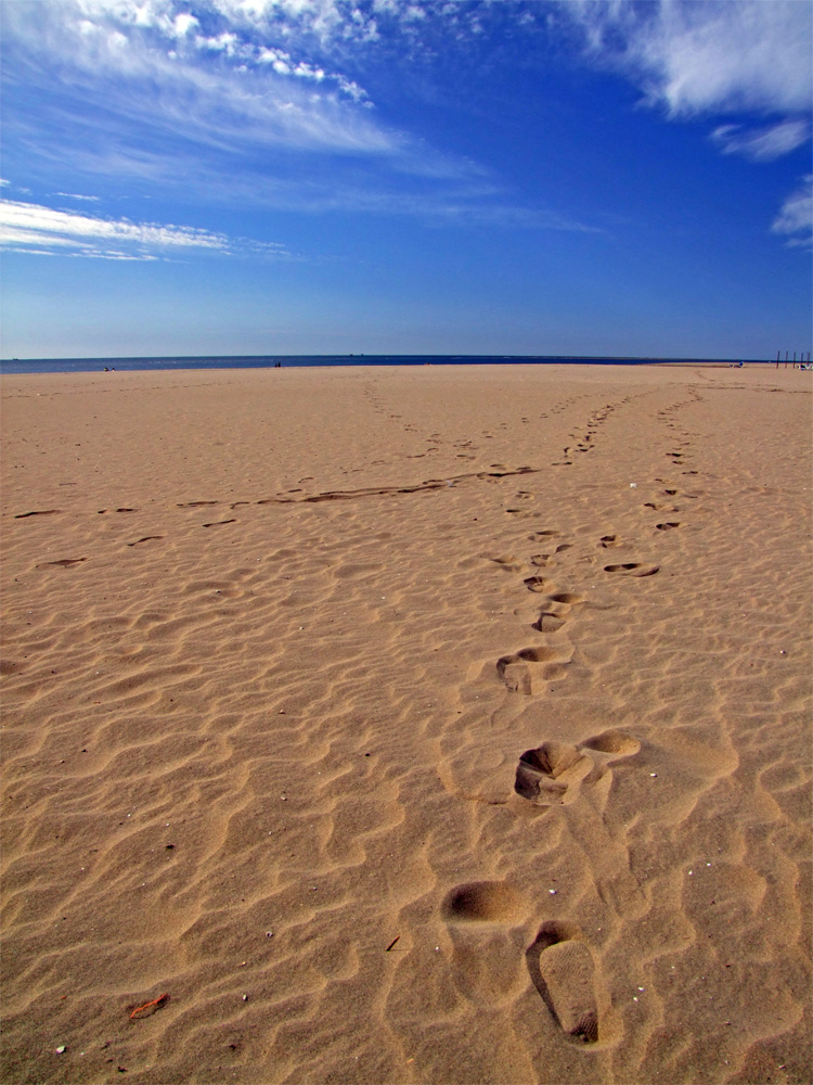 Spuren im Sand...