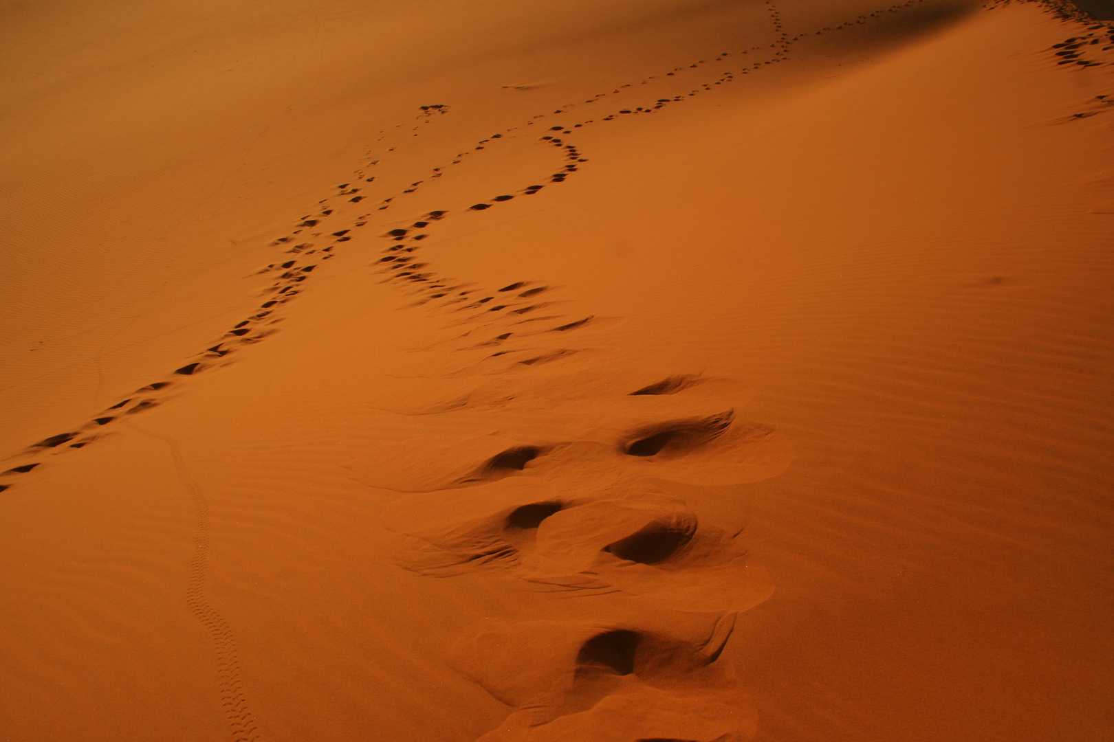 Spuren im Sand