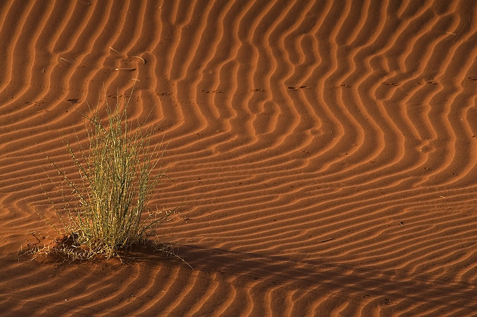 Spuren im Sand