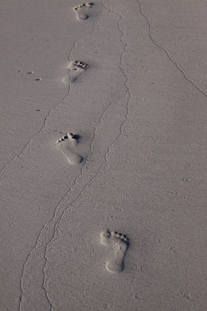 Spuren im Sand