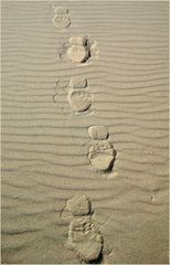 Spuren im Sand.....
