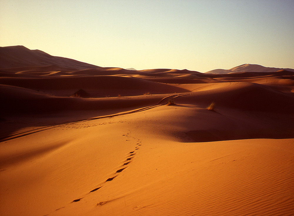 Spuren im Sand