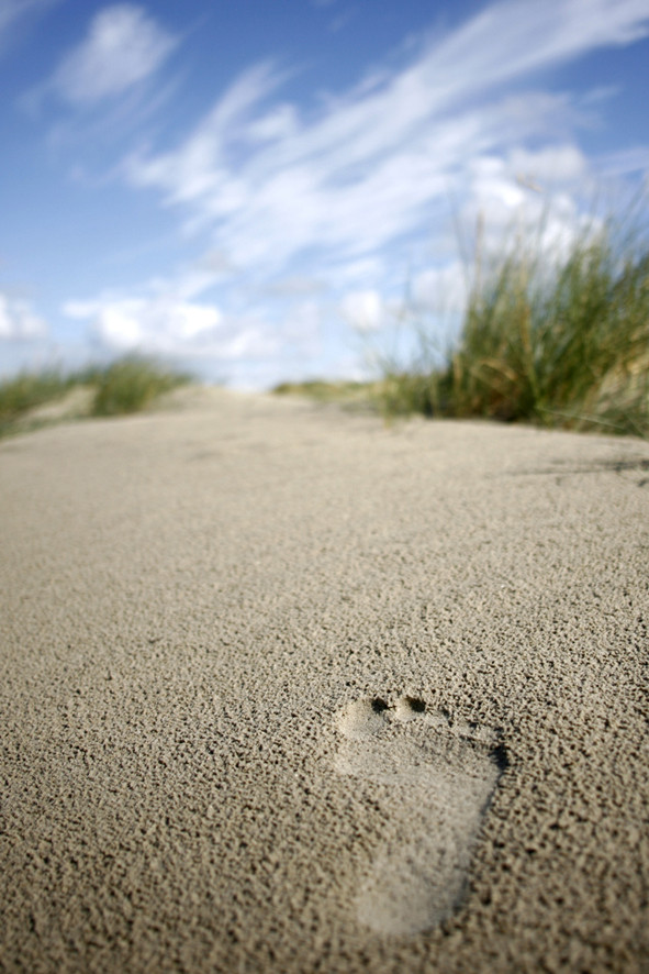 Spuren im Sand...