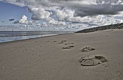 Spuren im Sand