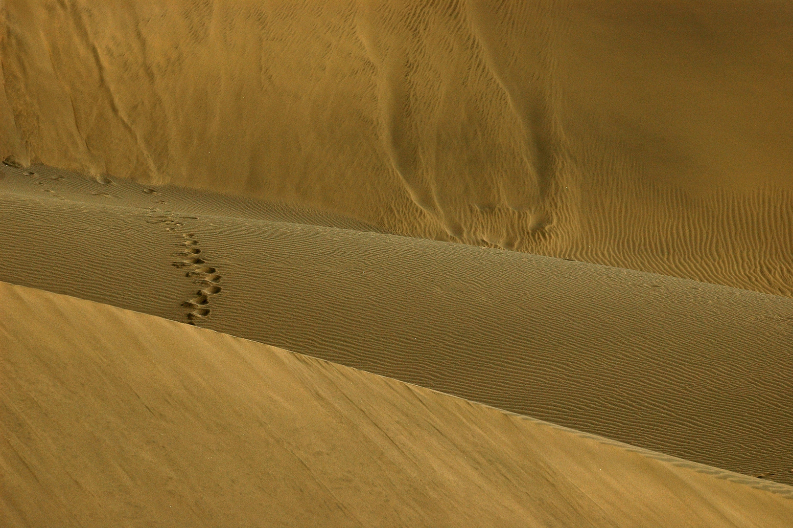 Spuren im Sand