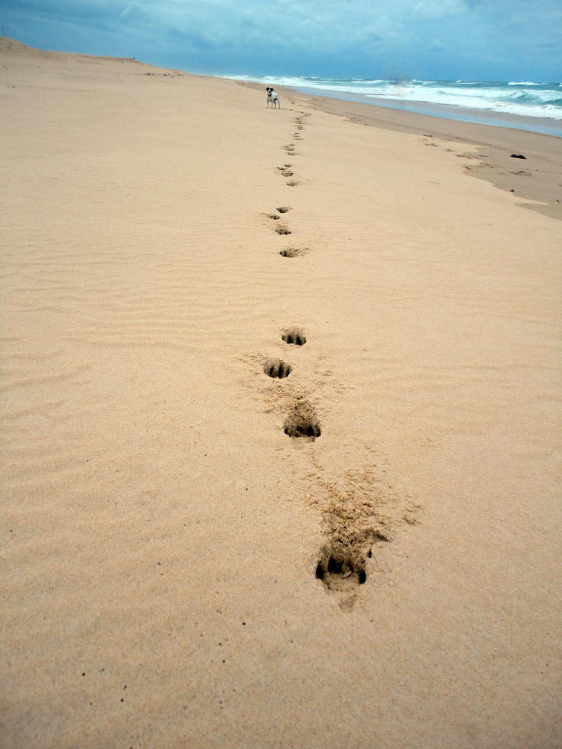 Spuren im Sand