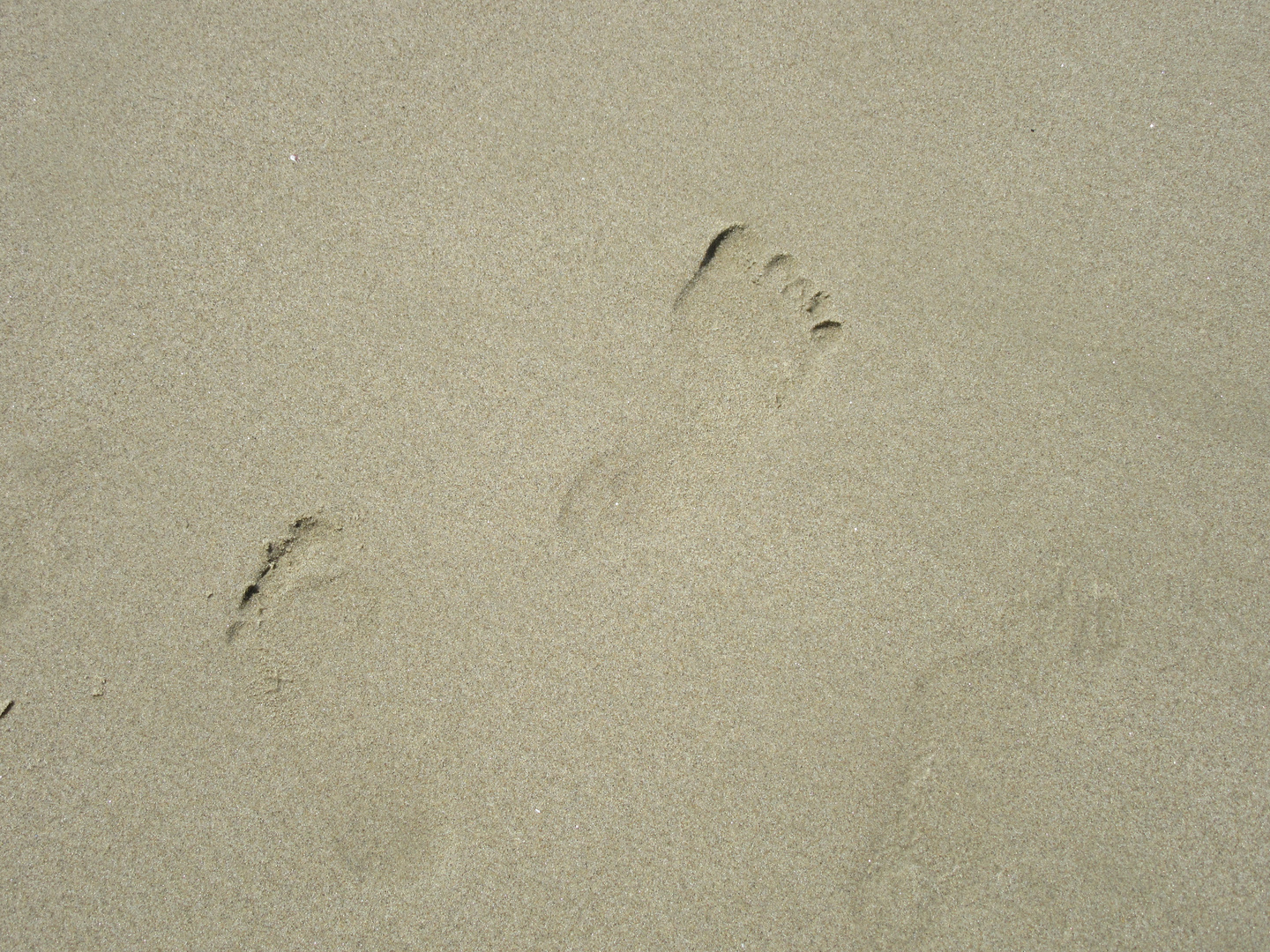 Spuren im Sand 