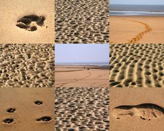 Spuren im Sand am Noordwijker Strand (Niederlande) (21.03.2012)