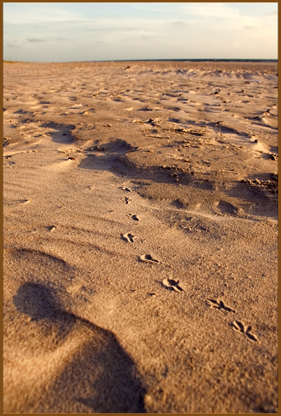 Spuren im Sand