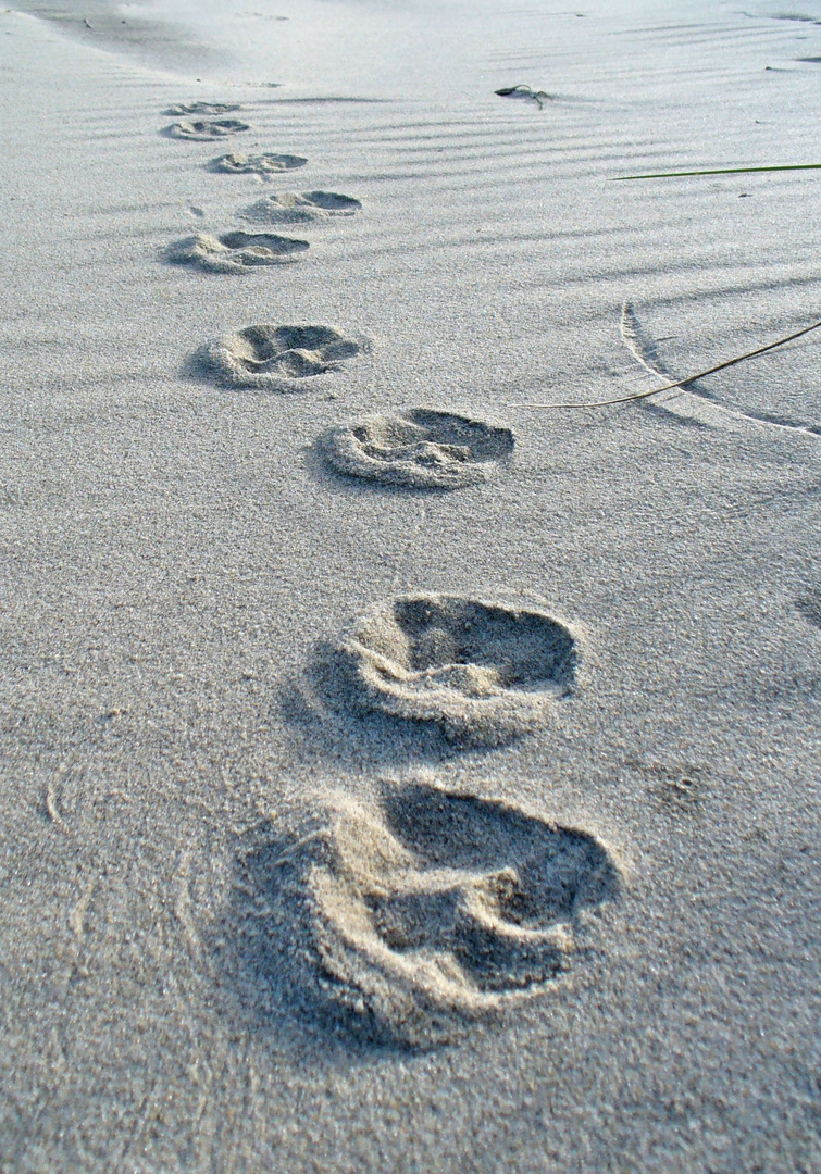 Spuren im Sand