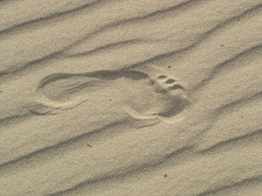 Spuren im Sand