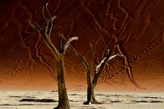 Spuren im Sand