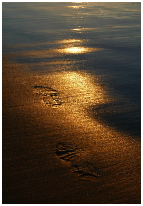 Spuren im Sand