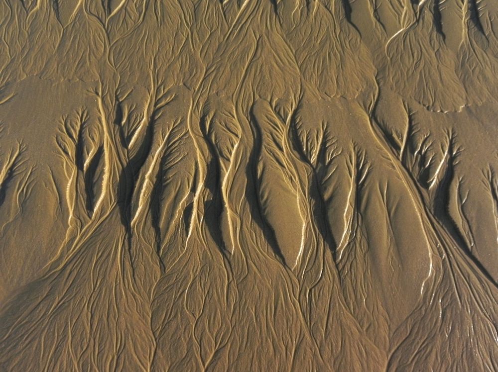 Spuren im Sand Foto & Bild | natur, gezeiten, lebensräume Bilder auf fotocommunity