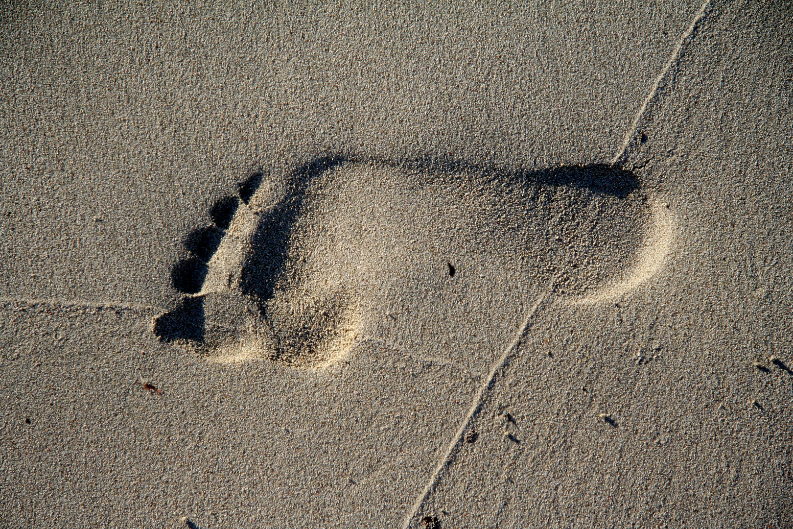 Spuren im Sand