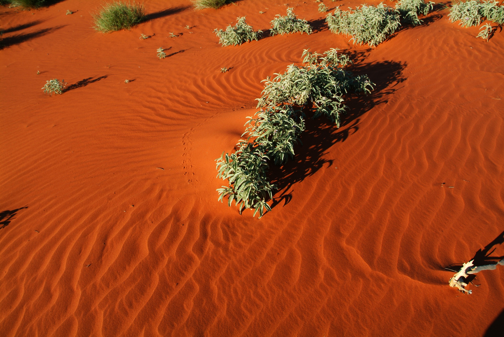 Spuren im Sand