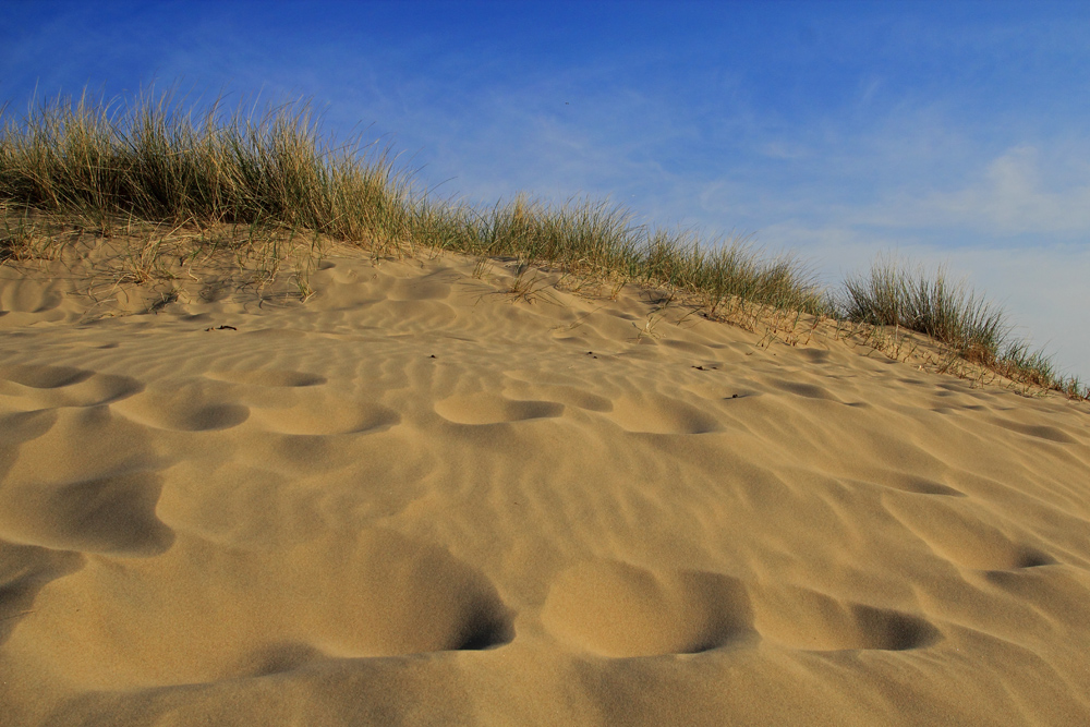 Spuren im Sand...