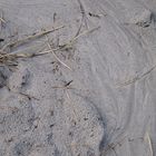 Spuren im Sand