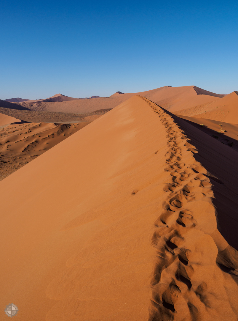 Spuren im Sand