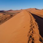 Spuren im Sand