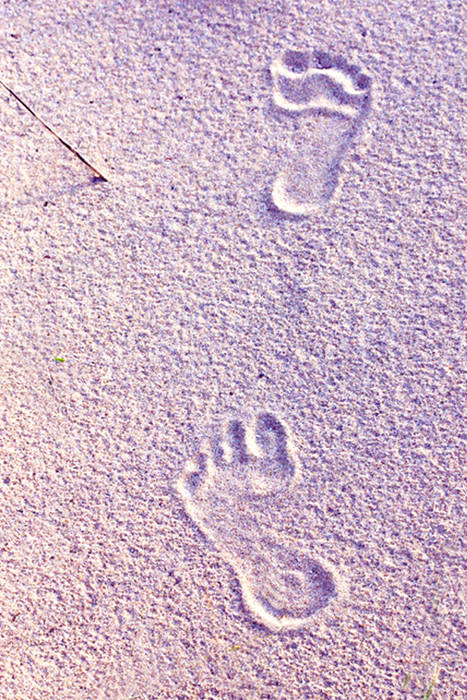 Spuren im Sand bei untergehender Sonne