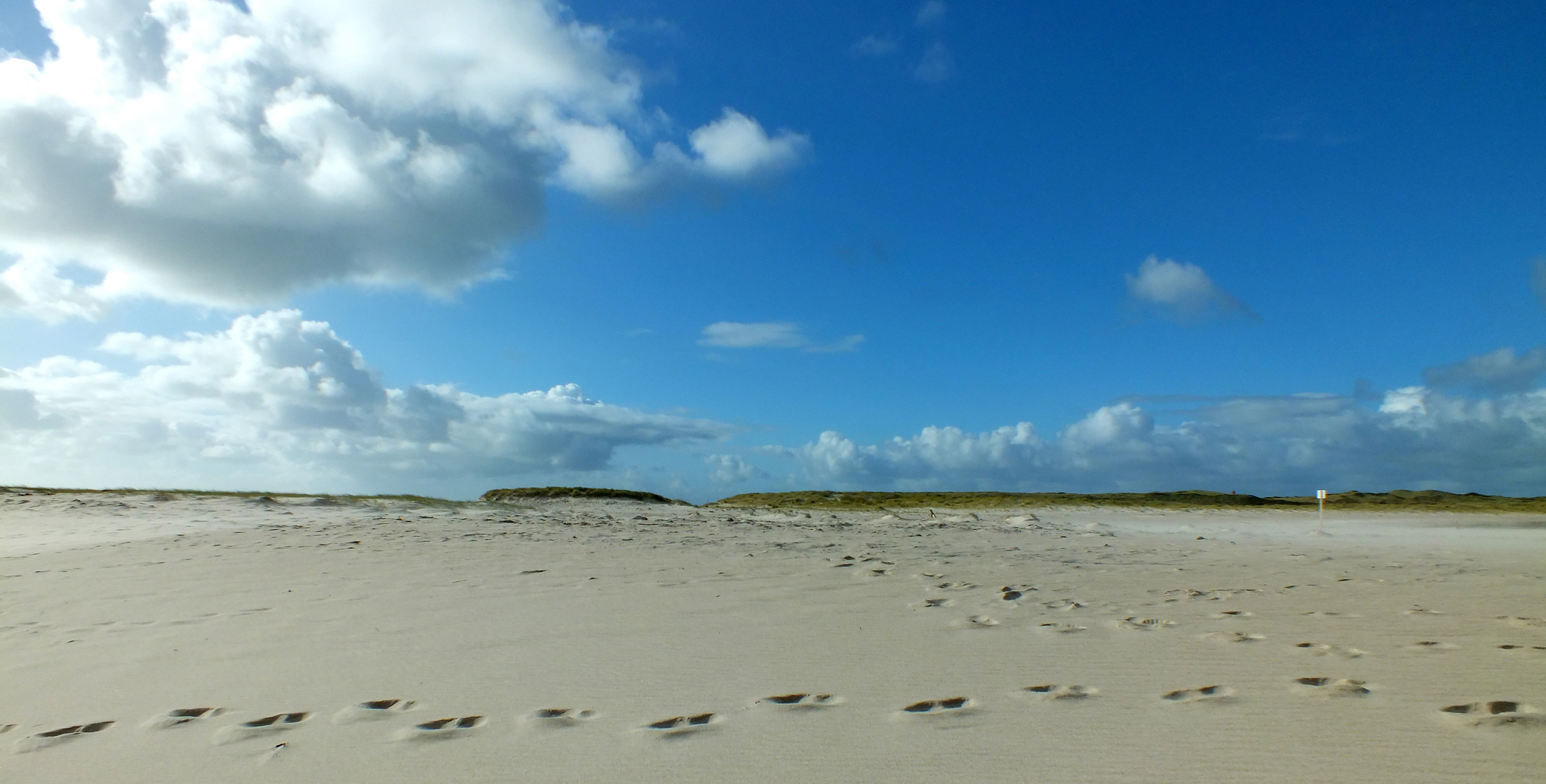 Spuren im Sand