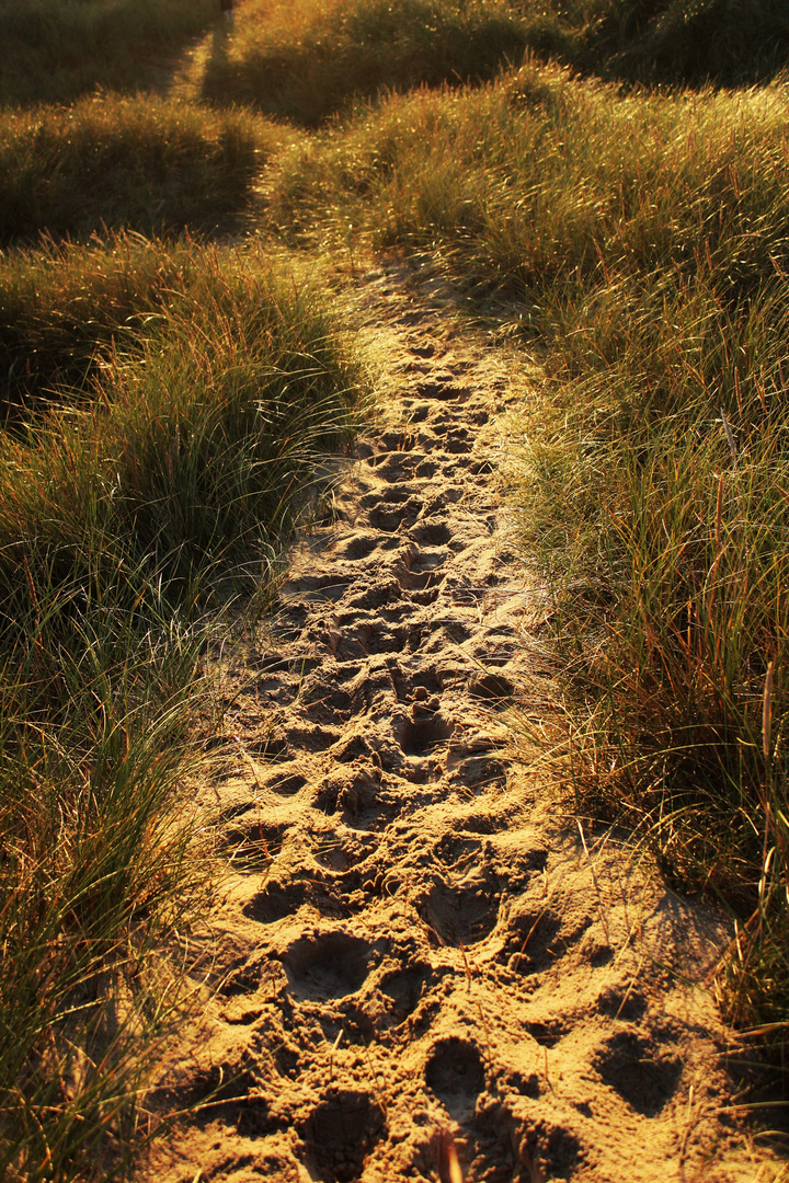 Spuren im Sand