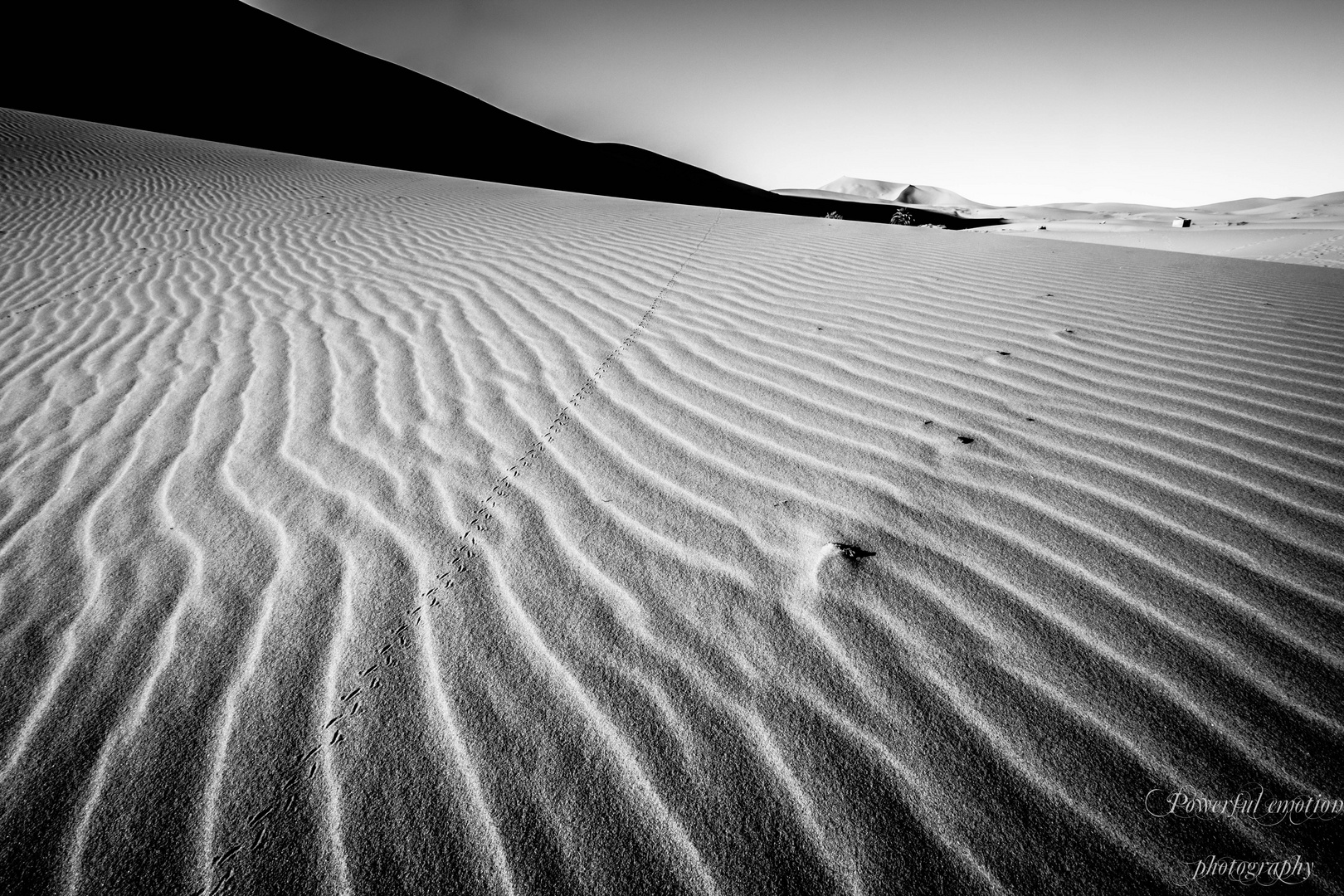 Spuren im Sand