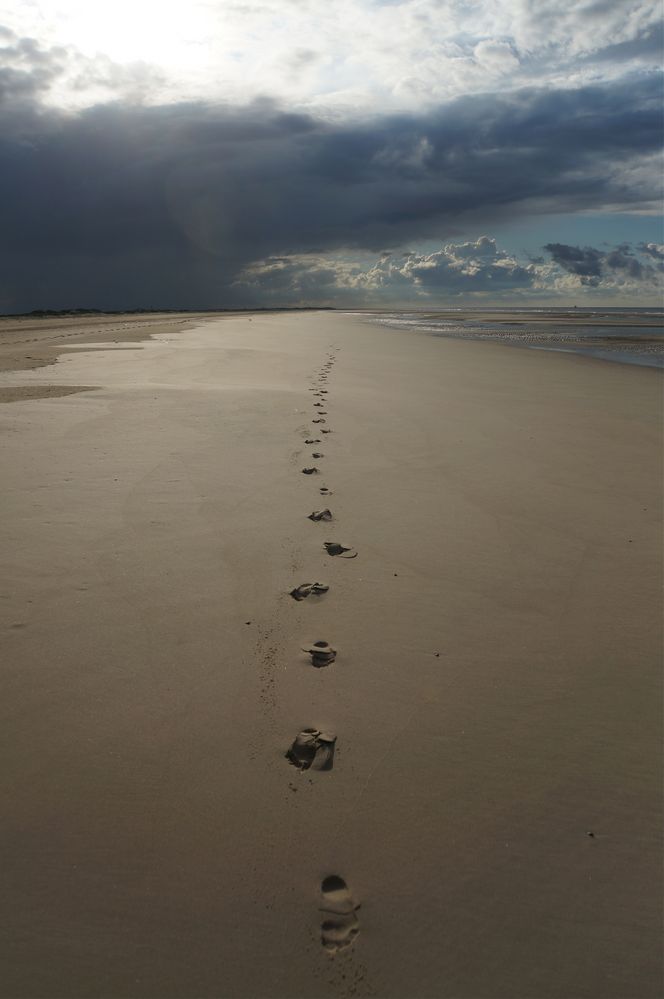 Spuren im Sand...