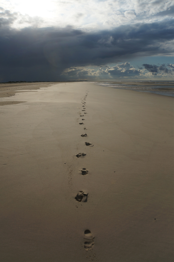 Spuren im Sand...