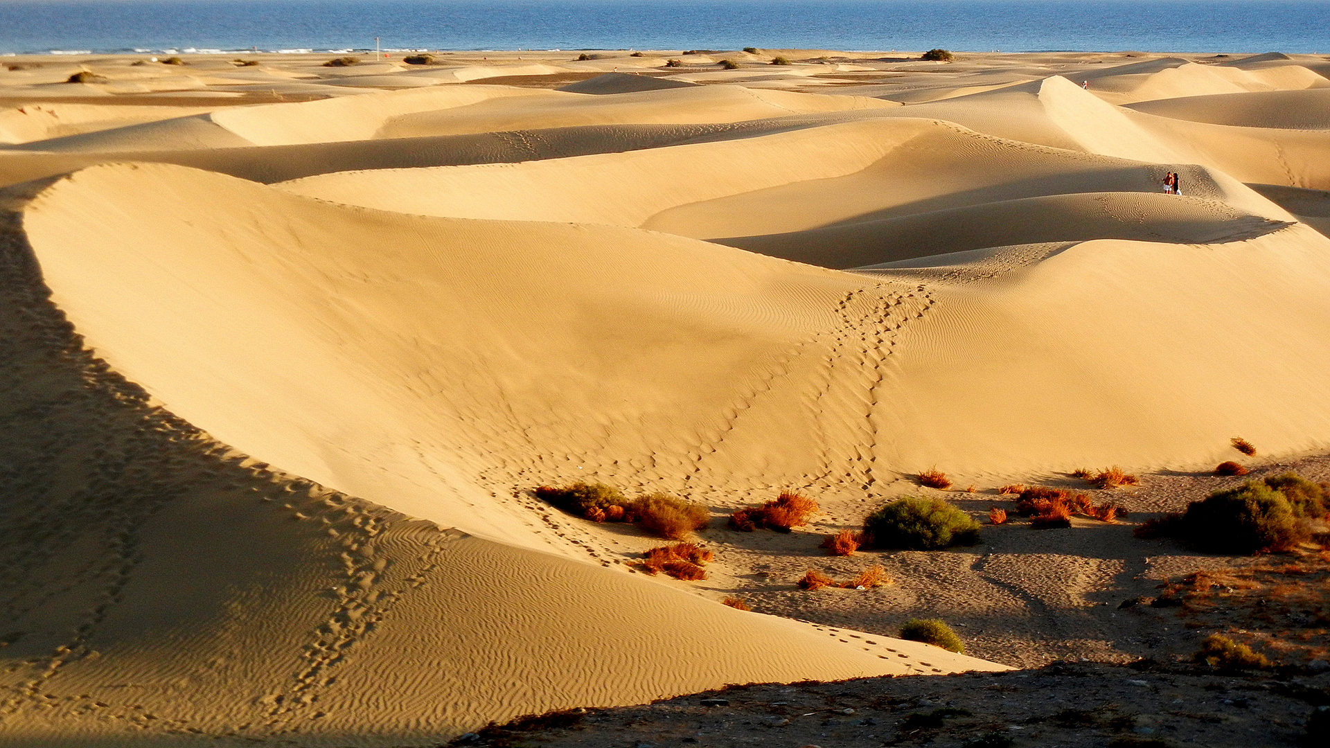 Spuren im Sand