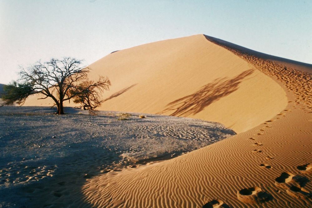 Spuren im Sand