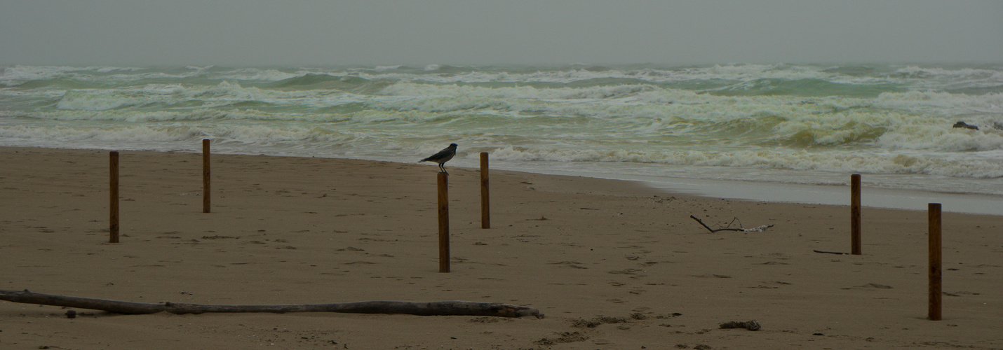 Spuren im Sand