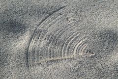 Spuren im Sand ...