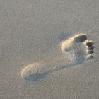 Spuren im Sand