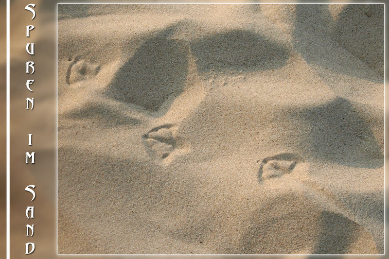 Spuren im Sand...