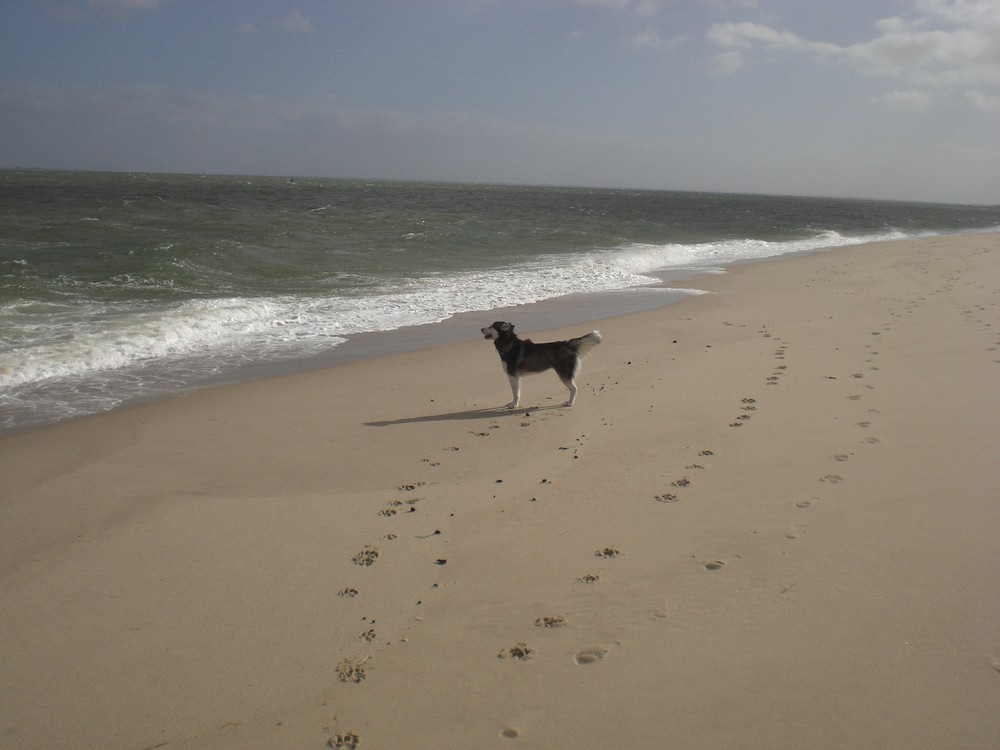 spuren im sand