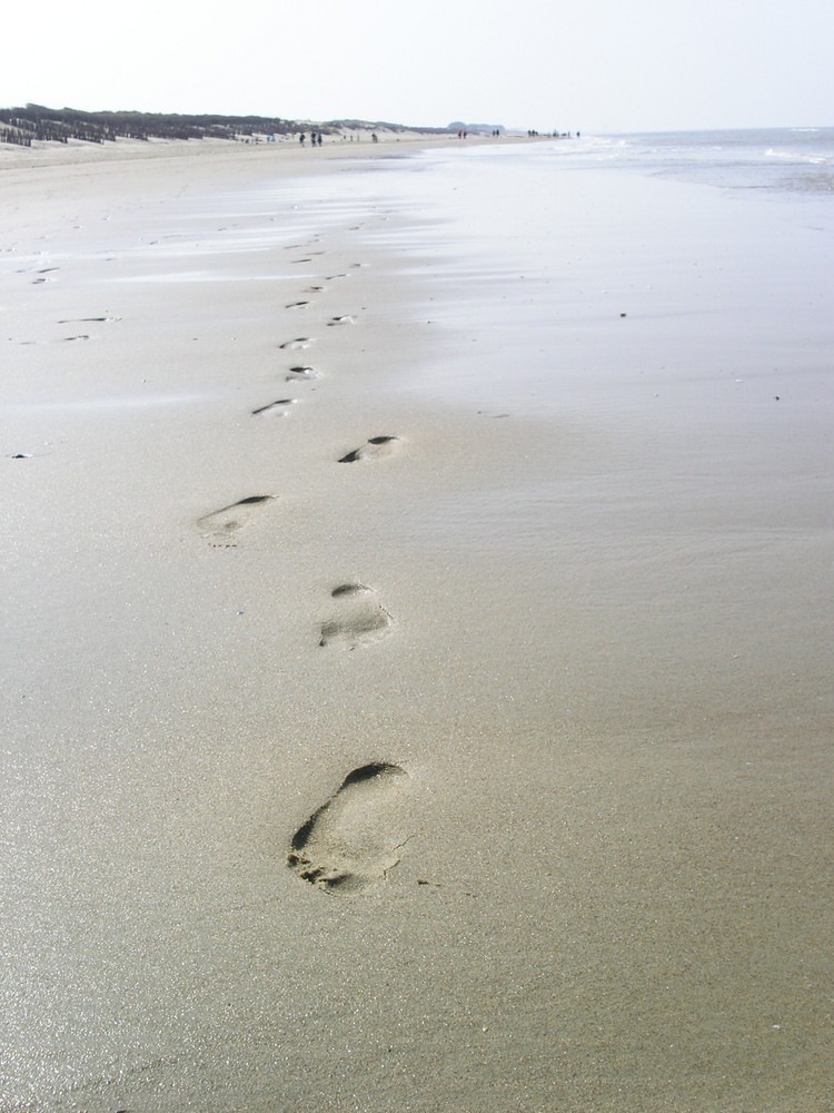 Spuren im Sand